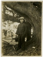 藏品(伯公山系列9)的圖片