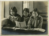 藏品(戶外肖像系列7)的圖片