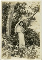 藏品(金淼家族照系列3)的圖片