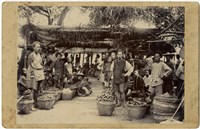 藏品(台灣嘉義廳下於野菜市場光景)的圖片