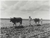 藏品(〈放牛母子〉)的圖片