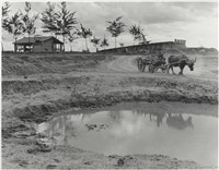 藏品(〈磚仔窯的牛車〉)的圖片