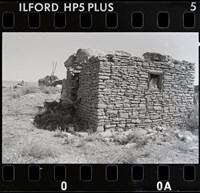 藏品(邱德雲底片479)的圖片