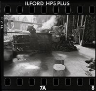 藏品(邱德雲底片491)的圖片