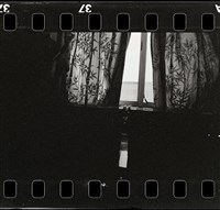藏品(邱德雲底片492)的圖片