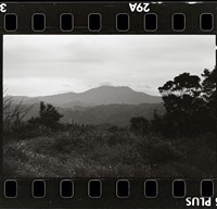 藏品(邱德雲底片501)的圖片