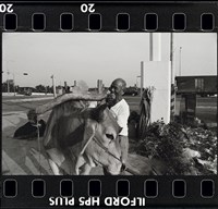 藏品(邱德雲底片502)的圖片