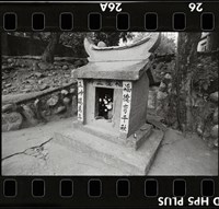 藏品(邱德雲底片504)的圖片