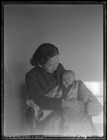 藏品(洪孔達玻璃版11)的圖片