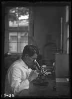 藏品(洪孔達玻璃版40)的圖片