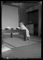 藏品(洪孔達玻璃版47)的圖片