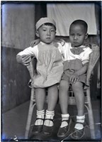 藏品(玻璃版底片：)的圖片