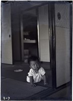 藏品(玻璃版底片：)的圖片