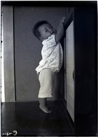 藏品(玻璃版底片：)的圖片