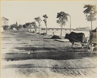 藏品(高雄市政發展系列14)的圖片