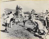 藏品(高雄市政發展系列27)的圖片