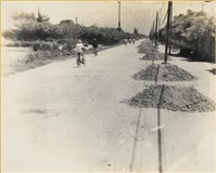 藏品(高雄市政發展系列31)的圖片