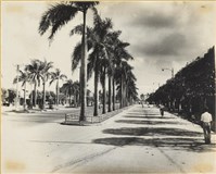 藏品(高雄市政發展系列32)的圖片