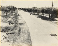 藏品(高雄市政發展系列33)的圖片