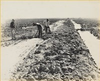 藏品(高雄市政發展系列40)的圖片