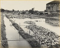 藏品(高雄市政發展系列46)的圖片