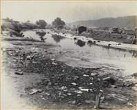 藏品(愛河2)的圖片