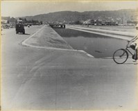 藏品(高雄市政發展系列60)的圖片