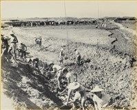 藏品(高雄市政發展系列66)的圖片