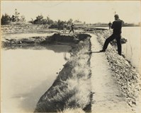 藏品(高雄市政發展系列69)的圖片