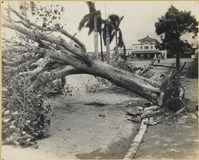 藏品(高雄市政發展系列74)的圖片