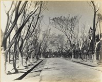 藏品(高雄市政發展系列76)的圖片