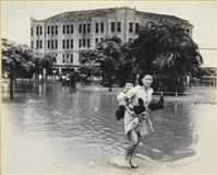 藏品(高雄市政發展系列117)的圖片