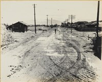 藏品(高雄市政發展系列134)的圖片