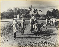 藏品(高雄市政發展系列136)的圖片