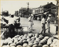 藏品(高雄市政發展系列141)的圖片