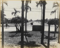 藏品(高雄市政發展系列143)的圖片