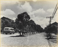 藏品(高雄市政發展系列145)的圖片