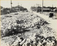 藏品(戰後高雄街景：自強一路)的圖片