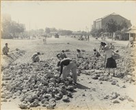 藏品(高雄市政發展系列152)的圖片