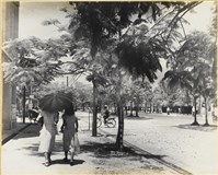 藏品(高雄市政發展系列154)的圖片