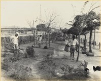 藏品(高雄市政發展系列155)的圖片