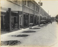 藏品(高雄市政發展系列157)的圖片