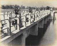 藏品(高雄市政發展系列164)的圖片