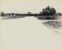 藏品(高雄市政發展系列172)的圖片