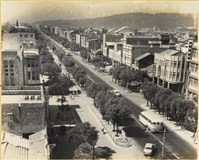 藏品(高雄市政發展系列178)的圖片