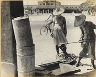 藏品(高雄市政發展系列186)的圖片