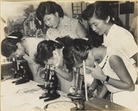 藏品(高雄市政發展系列198)的圖片