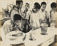 藏品(高雄市政發展系列199)的圖片