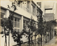 藏品(高雄市政發展系列203)的圖片