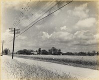 藏品(高雄市政發展系列211)的圖片